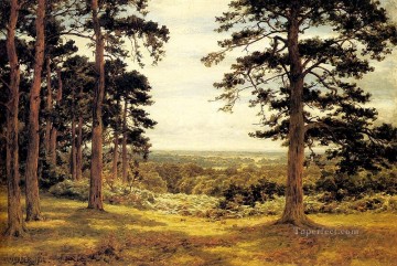  pine Painting - A Peep Through The Pines landscape Benjamin Williams Leader woods forest